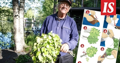 Näin teet juhannus­vihdan maailman­mestarin tapaan – katso helppo ohje - Kotimaa | 1Uutiset - Lukemisen tähden | Scoop.it