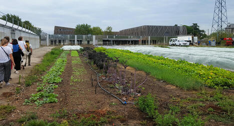 [Article] Les fermes urbaines de Doulon-Gohards à Nantes : un laboratoire d'agri-urbanisme - Métropolitiques | ESPACES VEGETALISES URBAINS | Scoop.it