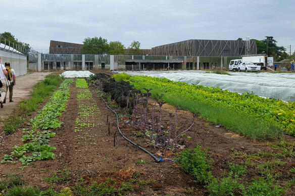 Les fermes urbaines de Doulon-Gohards à Nantes : un laboratoire d’agri-urbanisme