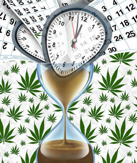 The War on Cannabis Takes a New Twist - Both Democrats and Republicans Step Up to Prevent Cannabis Legalization | Cannabis.Net | Scoop.it