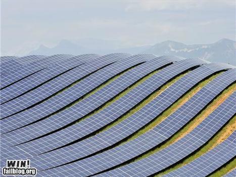 Solar Farm WIN | Win | Scoop.it