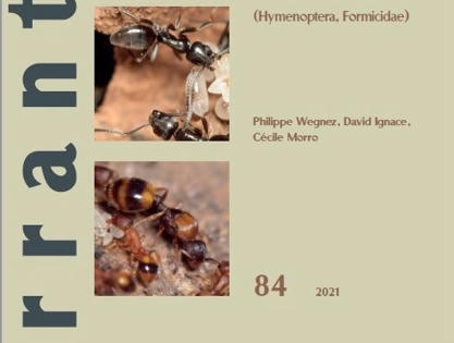 Atlas de fourmis du Luxembourg : le résultat d’une recherche quinquennale (2013–2017) menée sur l’ensemble du territoire du Grand-Duché du Luxembourg | Histoires Naturelles | Scoop.it