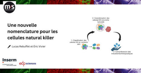 Merci m&eacute;decine/scienves! | Eric Vivier | Immunology | Scoop.it