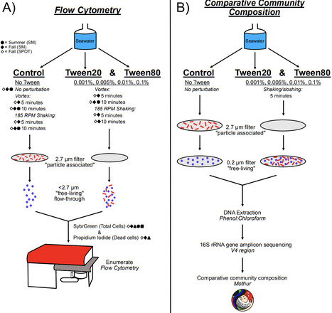 Detergent-based separation of microbes from marine particles | Brvt | RMH | Scoop.it