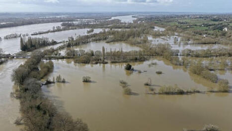 FRANCE : Les fruits et l&eacute;gumes lourdement impact&eacute;s par les inondation, quelles cons&eacute;quences sur l'offre et les prix? | FRUITS ET L&Eacute;GUMES | Scoop.it