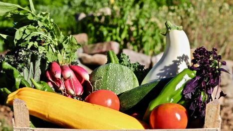 On go&ucirc;te &agrave; la nutri&eacute;cologie [Podcast] - FranceInter | Agroecologie et Syst&egrave;mes Alimentaires Durables | Scoop.it