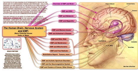 The Human Brain, Nervous System and EMF: Many Potential Issues Index of Maps | P O C: Présentation Originale des Connaissances | Scoop.it