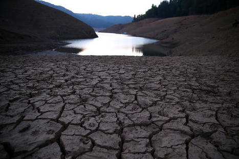 California Moves to Kill the Lawn, Save the Water | Stage 4 Water in the World | Scoop.it