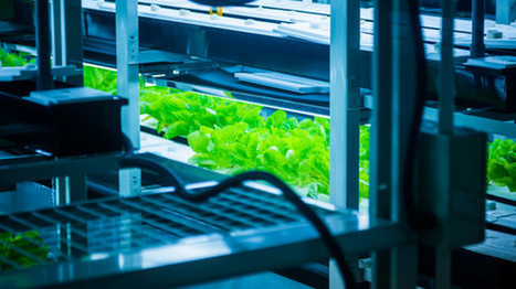 The next generation of food tech? Nobel Laureates discuss future of food | IPCI : Ing&eacute;nierie de Produits &agrave; l'interface Cuisine-Industrie | Scoop.it