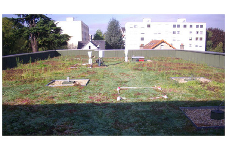 Le Cerema &eacute;value la performance d&rsquo;une toiture v&eacute;g&eacute;talis&eacute;e &agrave; z&eacute;ro rejet pour la gestion des eaux pluviales | Build Green, pour un habitat &eacute;cologique | Scoop.it