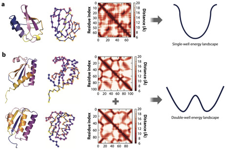 Fold-Switching Proteins | AnR | RMH | Scoop.it