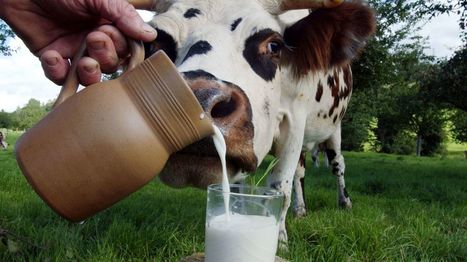Crise du lait : l'UE limite l'intervention publique sur la poudre de lait | Lait de Normandie... et d'ailleurs | Scoop.it