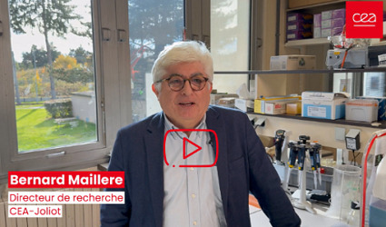 La tol&eacute;rance immunitaire p&eacute;riph&eacute;rique, prix Nobel de m&eacute;decine 2025, d&eacute;crypt&eacute;e par Bernard Maill&egrave;re, sp&eacute;cialiste de l&rsquo;immunologie cellulaire | Life Sciences Universit&eacute; Paris-Saclay | Scoop.it