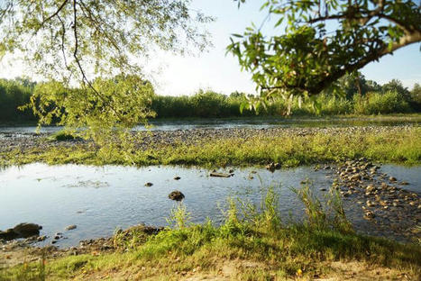 Visioconférence sur la RNR Confluence Garonne-Ariège | Lacroix-Falgarde | Scoop.it