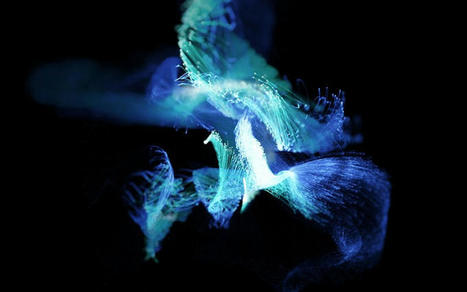 Why We Need to Regulate Digital Identity in the Metaverse | mɛtəvəːs | Scoop.it