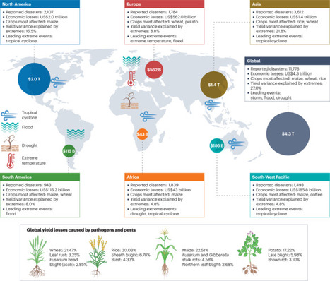 Impacts of climate extremes on plant pathogens, microbiomes and plant health | Nrm | RMH | Scoop.it