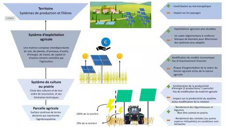 Agrivoltaïsme : avantages et inconvénients d’installer des panneaux solaires dans les champs | Lait de Normandie... et d'ailleurs | Scoop.it