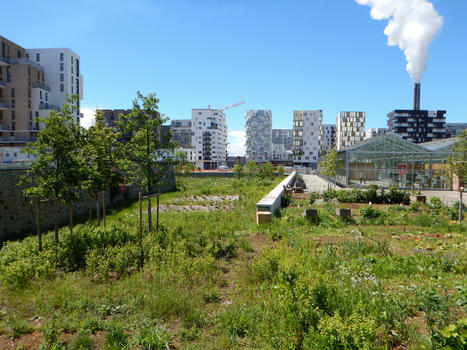 Les sols au coeur des strat&eacute;gies de nature en ville | EnvirEAU | Scoop.it