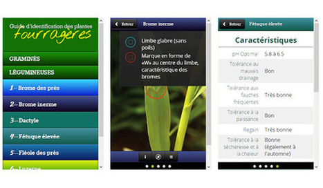 Un nouvel outil &agrave; utiliser sur le terrain ! - L&rsquo;Utiliterre | Pour innover en agriculture | Scoop.it
