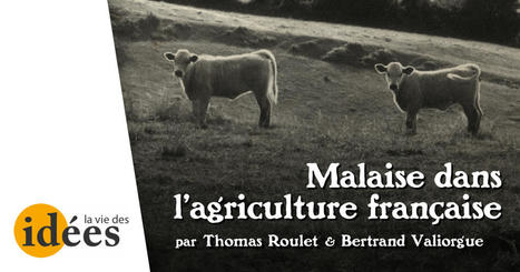 "Malaise dans l’agriculture française" Thomas Roulet & Bertrand Valiorgue pour @laviedesidees | Fil de veille - FDF | Scoop.it