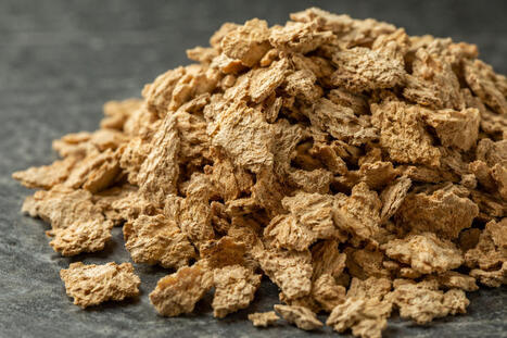 Tourteau de soja : la France pourrait couvrir 40 % de ses besoins en non OGM en 2032 | ITERG - Veille sectorielle | Scoop.it