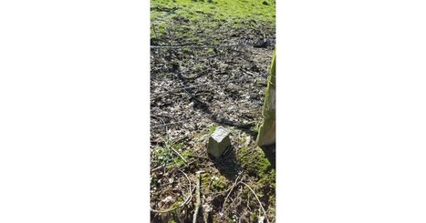 Les Aindinois invités à signaler les bornes cadastrales via une appli | L'Architecture, l'Urbanisme, l'Environnement, le Paysage et le Patrimoine... vus par le CAUE de l'Ain. | Scoop.it