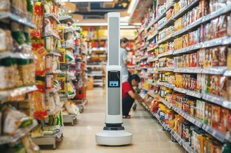 [Vidéo] Un robot pour éviter les ruptures de stock en magasin | e-Social + AI DL IoT | Scoop.it