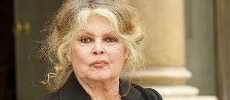 Le coup de sang de Brigitte Bardot contre Eva Joly | Mais n'importe quoi ! | Scoop.it