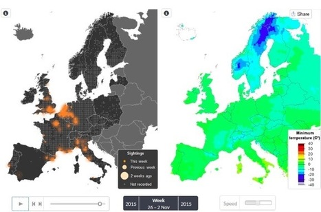 Une carte interactive pour comprendre le déplacement des oiseaux en Europe  | Biodiversité & Relations Homme - Nature - Environnement : Un Scoop.it du Muséum de Toulouse | Scoop.it