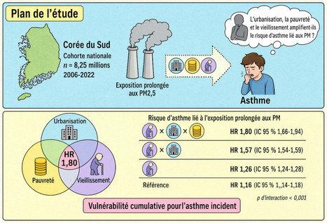 Pollution et asthme une &eacute;tude g&eacute;ante confirme le r&ocirc;le des PM10 et 2.5 &mdash; Allergique.org | Toxique, soyons vigilant ! | Scoop.it