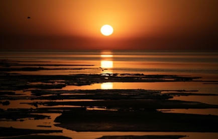 Climat: le dépassement de l'objectif de 1,5 °C est "inévitable", selon le chef de l'ONU | Changement Climatique | Scoop.it