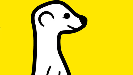 Meerkat app shows the potential for live streaming on Twitter | Peer2Politics | Scoop.it