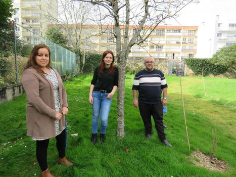 Jardin : le verger du manoir prend racine dans le quartier de Kermoysan à Quimper | L'actualité des quartiers politique de la ville de Bretagne et Pays de la Loire | Scoop.it