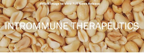 Intrommune: Cutting Edge Immunotherapy for Peanut Allergy Presented at Biotech Showcase 2020 | Allergy (and clinical immunology) | Scoop.it