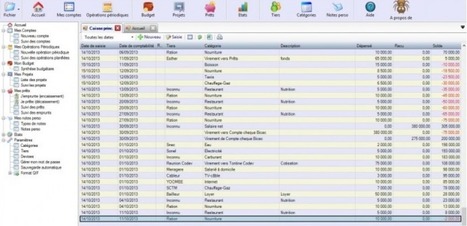 Logiciel professionnel gratuit Moneyka V 2.0 Fr 2014 Licence gratuite Gestion de comptes personnels | Logiciel Gratuit Licence Gratuite | Scoop.it