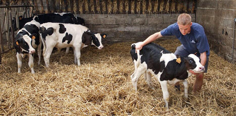 L&rsquo;ENSEIGNEMENT AGRICOLE, un&nbsp;objet politique mal identifi&eacute; | CIHEAM Press Review | Scoop.it