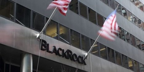 BlackRock, le géant de Wall Street, hausse le ton sur la diversité et le climat | GREENEYES | Scoop.it