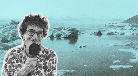 Isabelle Autissier : « L’océan, c’est ce qui fait la vie sur Terre » | EntomoScience | Scoop.it