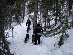 Le principe du tassage de la neige sous la raquette | Le blog de Michel BESSONE | Vallées d'Aure & Louron - Pyrénées | Scoop.it
