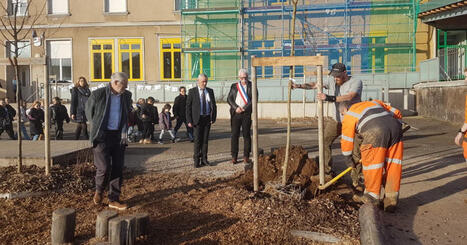 Rougemont. La cour d&rsquo;&eacute;cole enfin v&eacute;g&eacute;talis&eacute;e | Revue de presse | L'habitat & son environnement dans le Doubs : Architecture. Urbanisme. Environnement. Paysage. Logement | Scoop.it