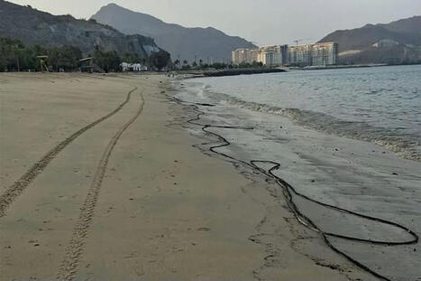 UAE: Oil spill quickly contained on Khor Fakkan beach / le 23.09.2025 | Pollution accidentelle des eaux (+ déchets plastiques) | Scoop.it