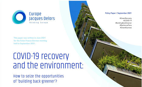 COVID-19 recovery and the environment - Institut Jacques Delors | Covid-19 : analyses et prospective | Scoop.it
