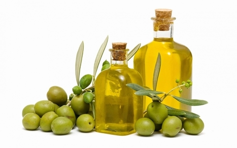 Export di olio di oliva verso gli Stati Uniti, dati in chiaroscuro | OLIVE NEWS | Scoop.it