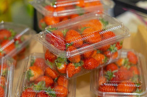 ENVIRONNEMENT : Emballages plastiques des fruits et légumes : que dit le nouveau décret ? | FRUITS ET LÉGUMES | Scoop.it
