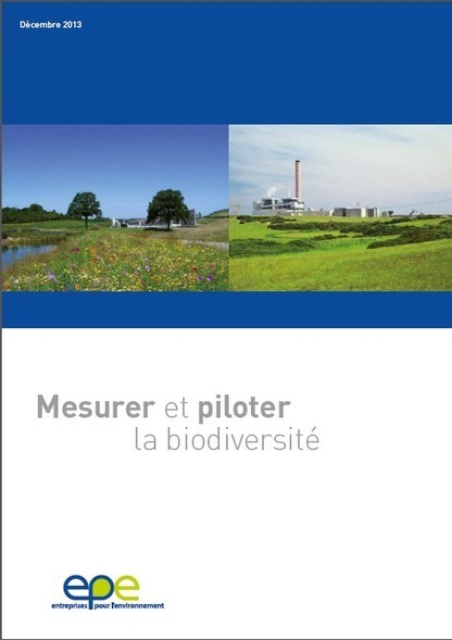 Mesurer et piloter la biodiversité : un guide pour l'élaboration d'indicateurs de biodiversité en entreprises | Biodiversité | Scoop.it