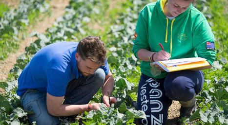 Développement agricole et rural : appels à projets | Ministère de l'Agriculture et de l'Alimentation | L'actu au service du développement territorial | Scoop.it