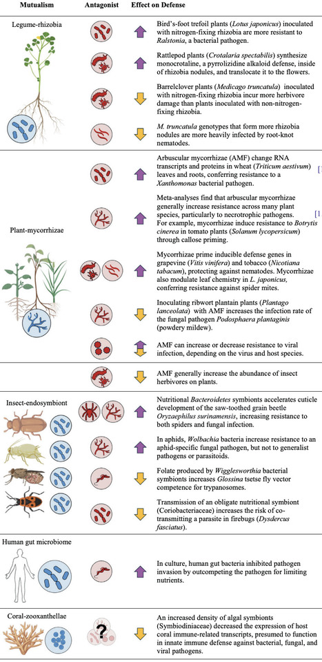 Integrating nutritional mutualists into the evolution of defense | tin | RMH | Scoop.it