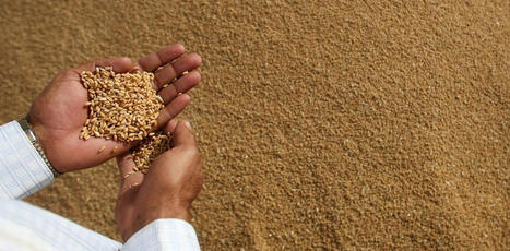 MONDE : L’inquiétante flambée des prix des matières agricoles | MED-Amin network | Scoop.it