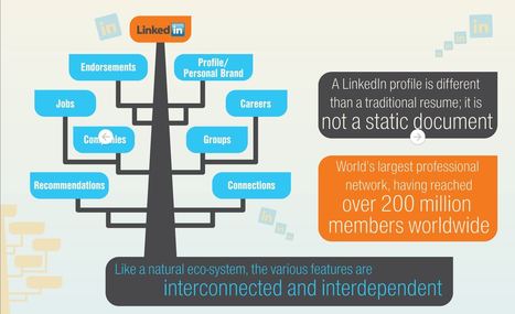 The Ecosystem of LinkedIn Infographic | digital marketing strategy | Scoop.it
