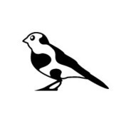 The story behind the image | Cowbird | How to find and tell your story | Scoop.it